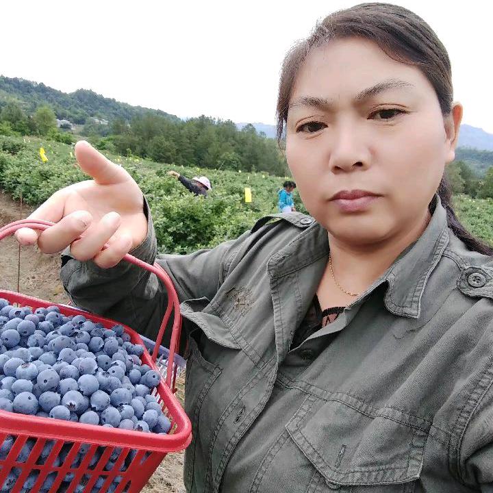 王云平，蓝莓谷人在潮州2002年了