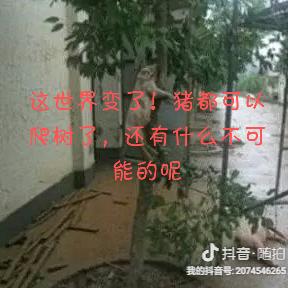 这个蜗牛有点慢