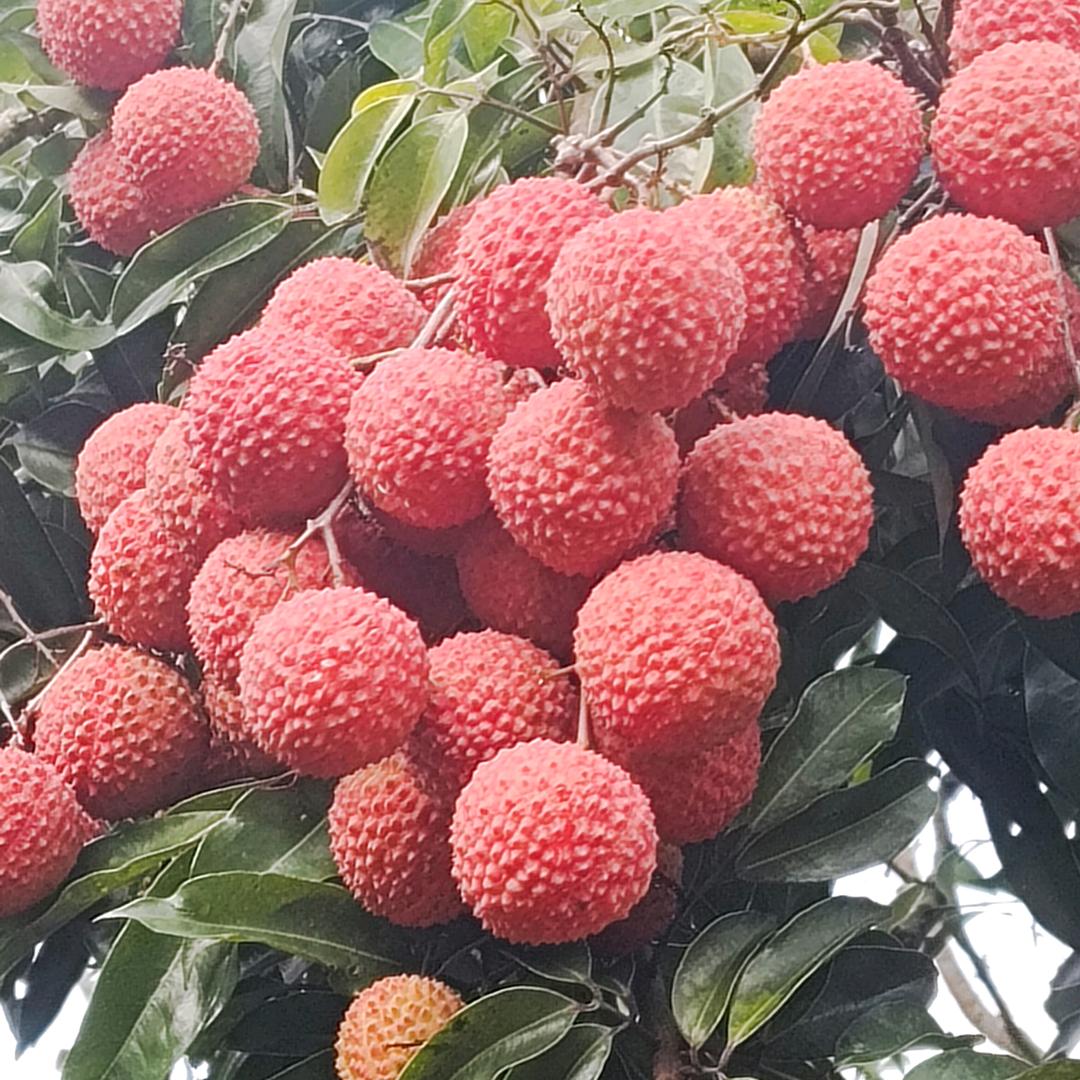 得失天注定