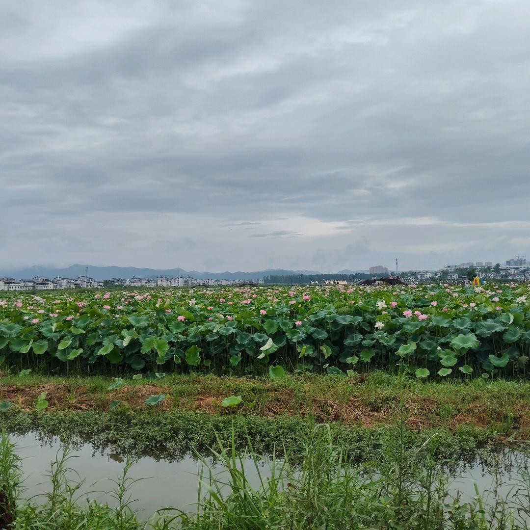 追光者(四川)
