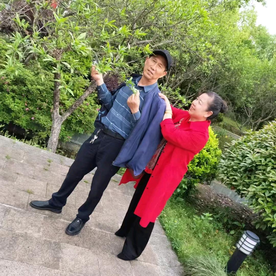 秋云（飞戈）
