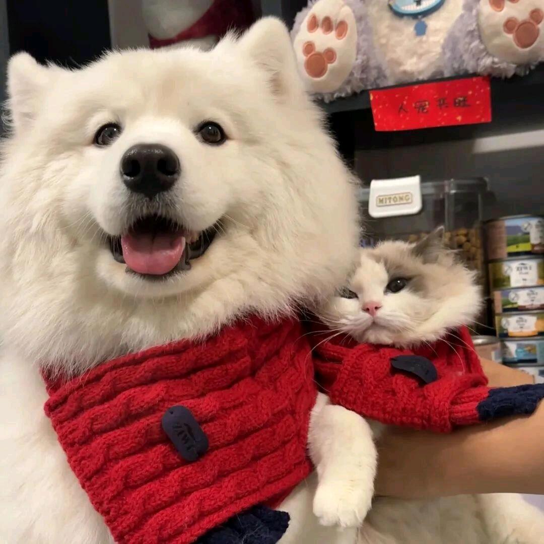 䥸䶵䵶觹