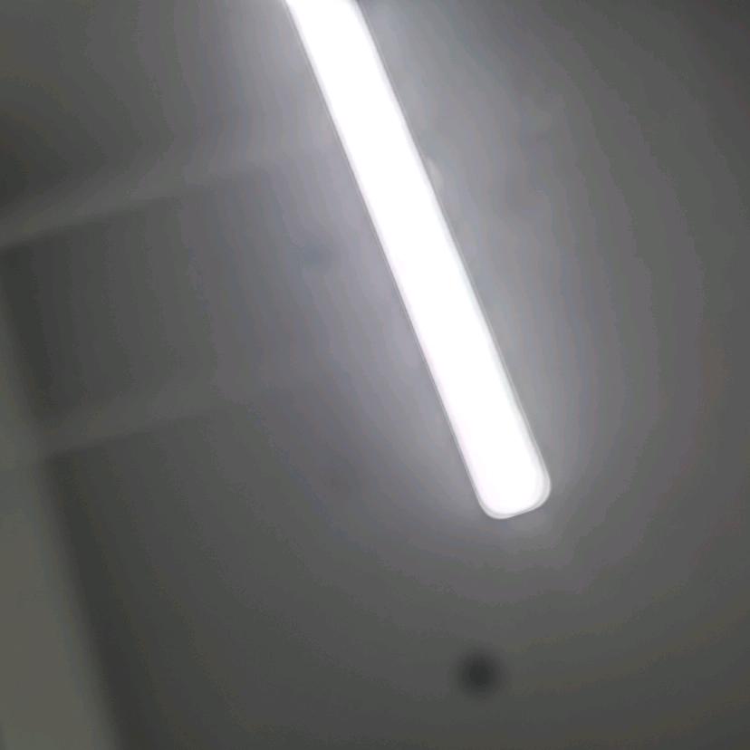 天天（诣杯诚）