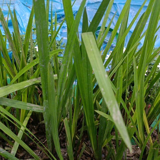 江山笑，烟雨遥