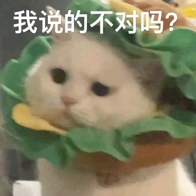 你虫脆是个红蛋