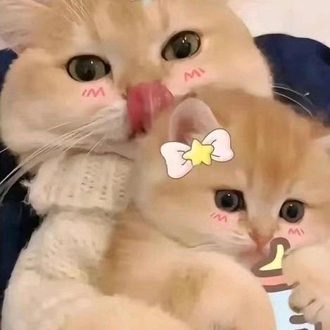 杨升