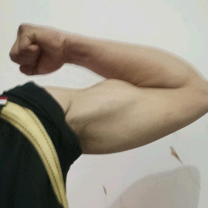 成都扛楼搬运战神