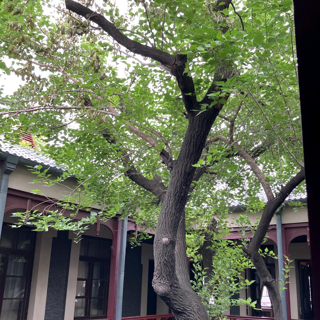 惊语.