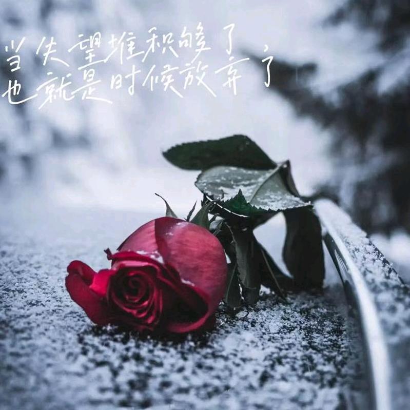 ღ᭄㞮孞꧔ꦿ᭄💞