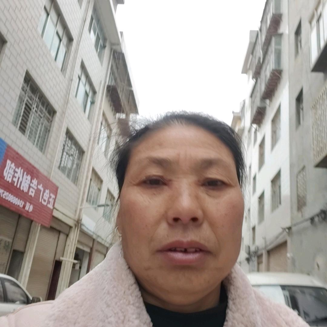 幸运莲莲