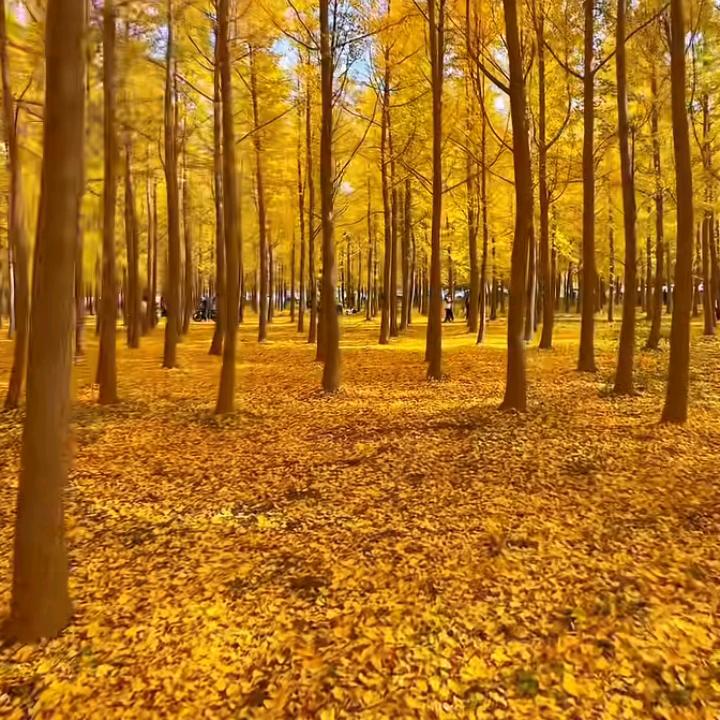 带着哑巴骂聋子