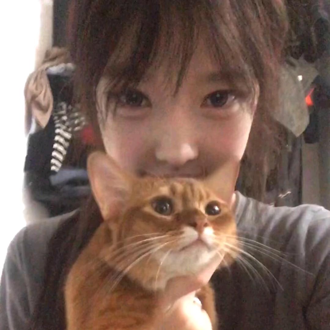 人傻嘴不甜长得安全还没钱