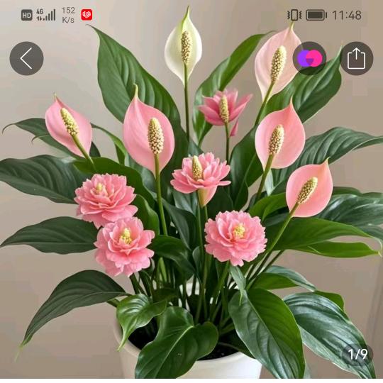 @🌹开💐心🌷有💐你🌹