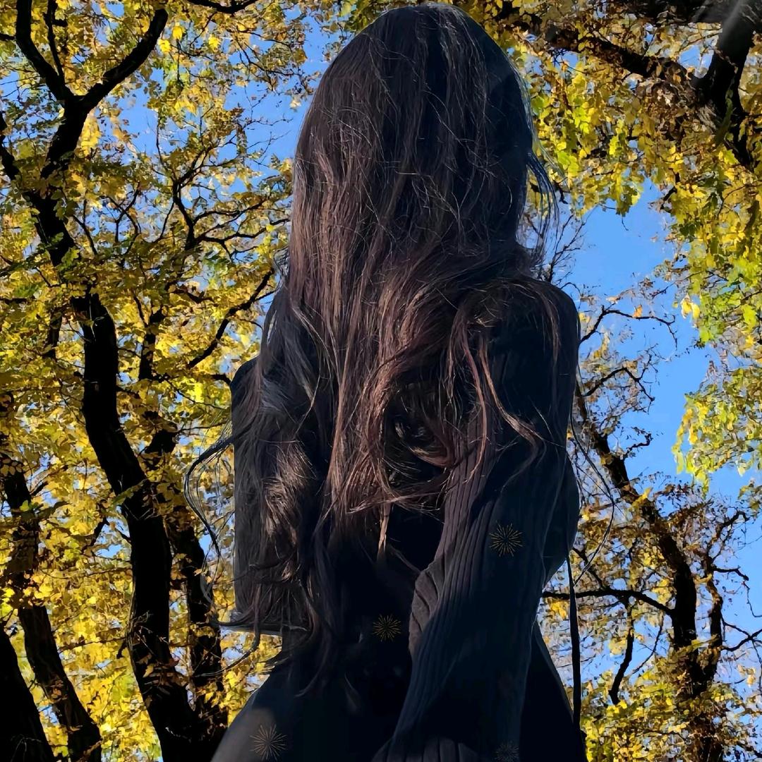 菜香（思🌸必🌸回）