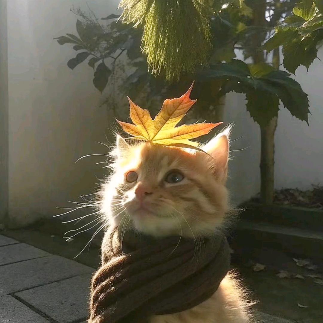 星海边