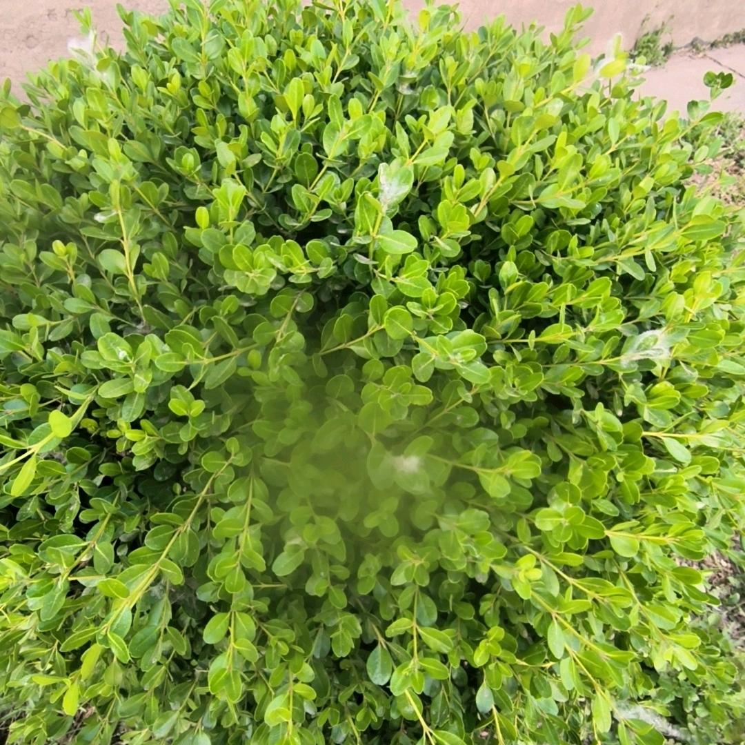 高兴点看淡点一切随其自然