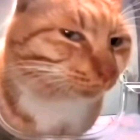 陶笛