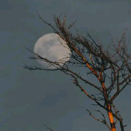 張先生的朋友圈