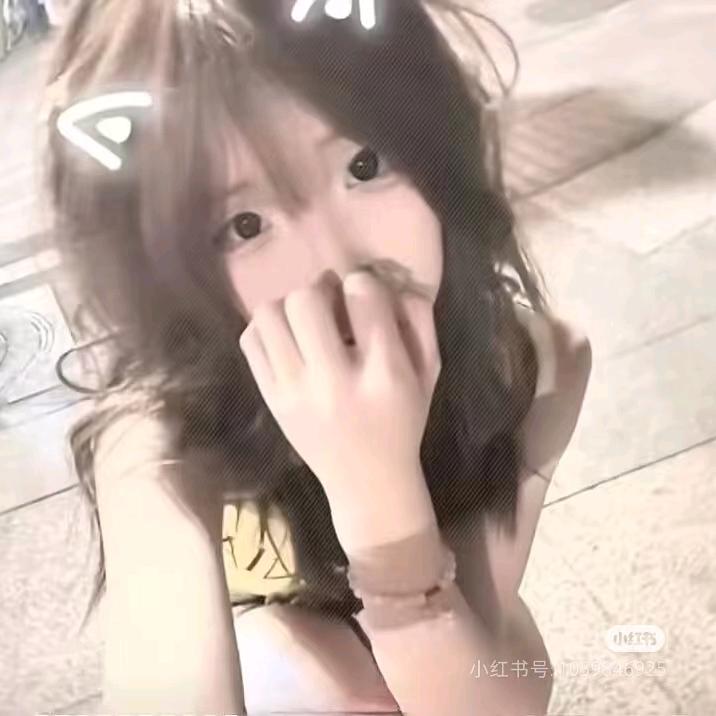 可爱的小猫😽