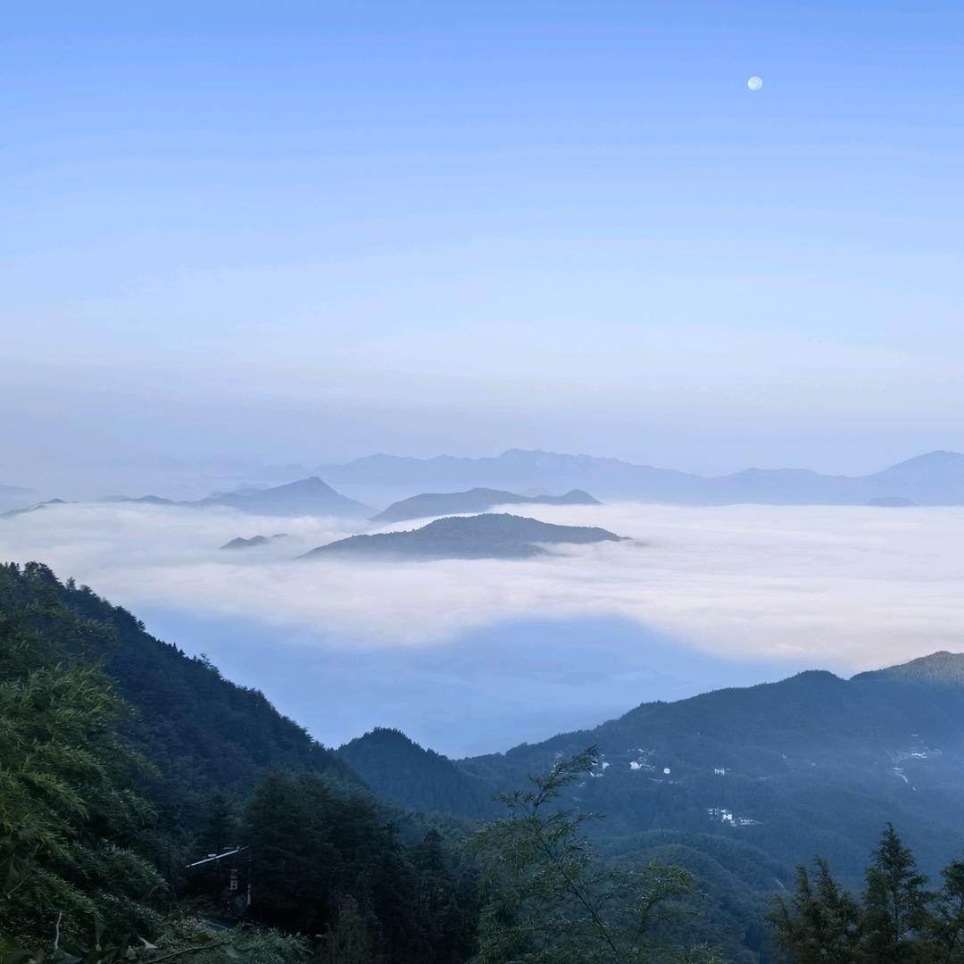 雄狮