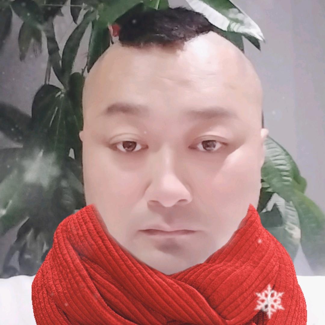 陈洪斌