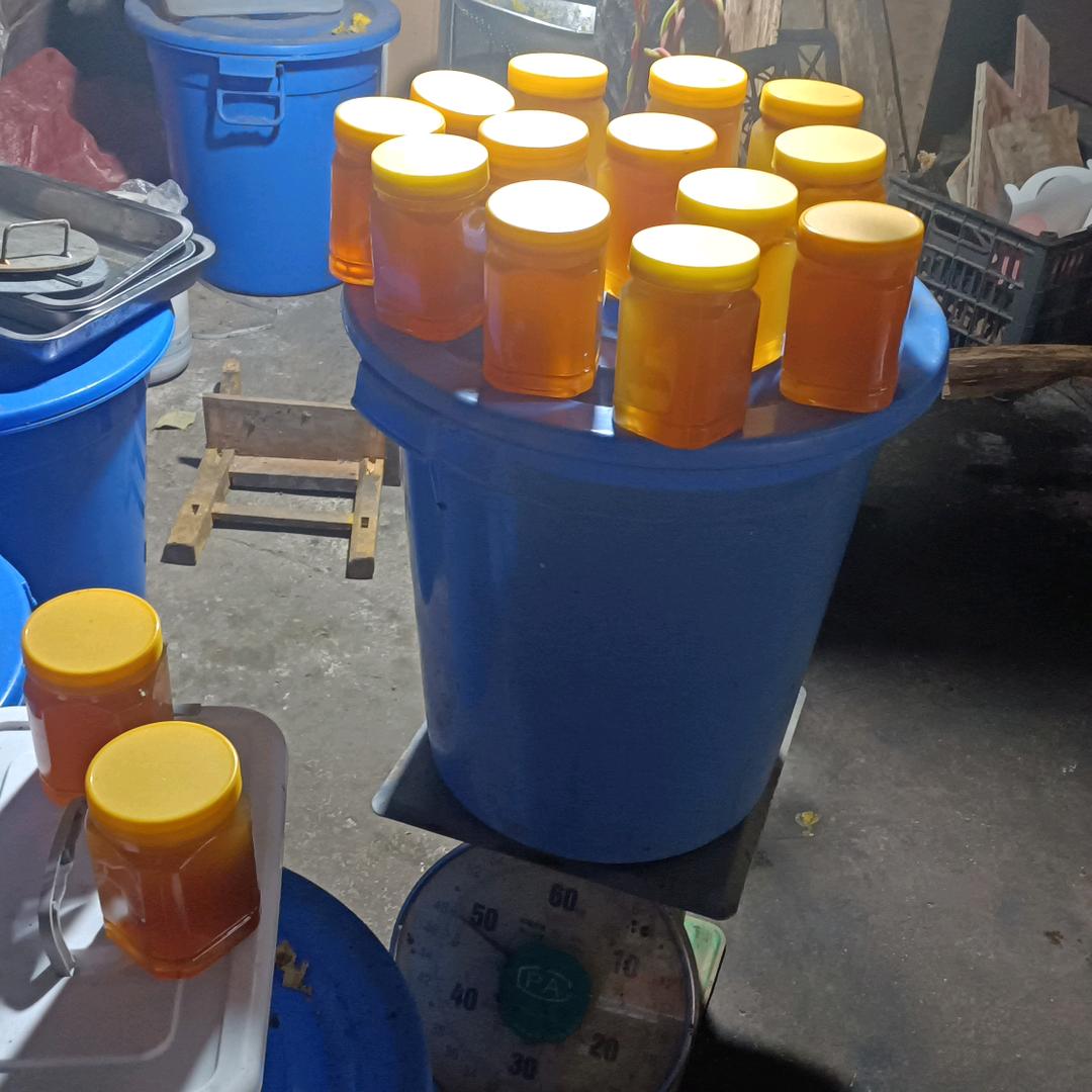 养蜂是我的业余爱好