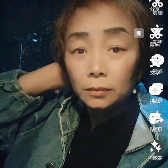 凤姐(对口型)