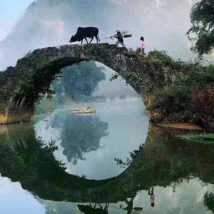 蜗牛哥