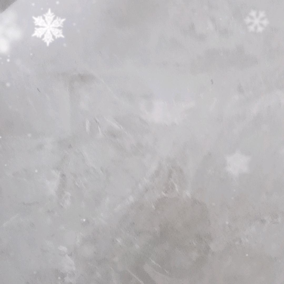 发货中：