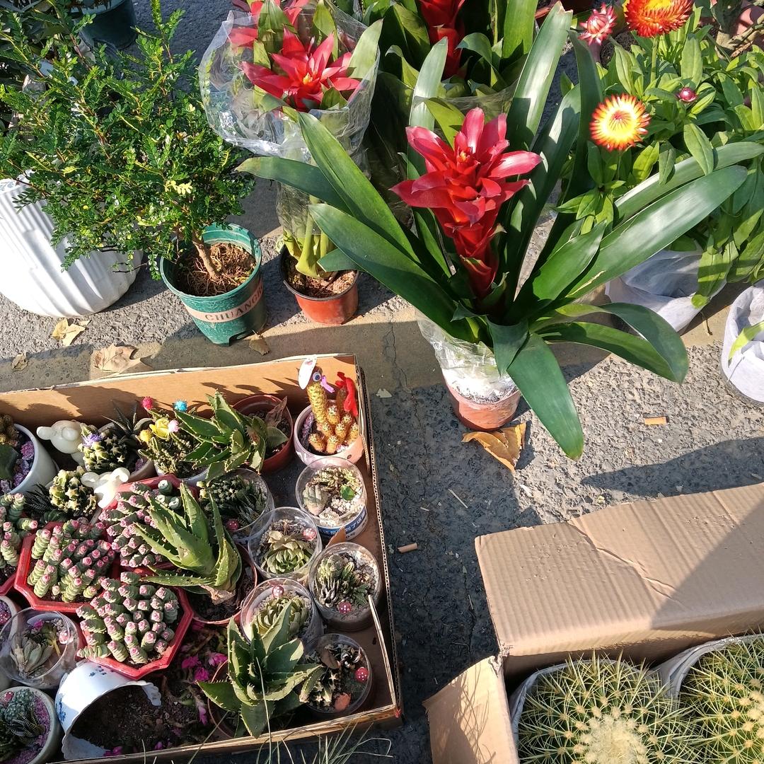 🧡ྀི💛ྀི❤️ྀི❤️心累了我也累