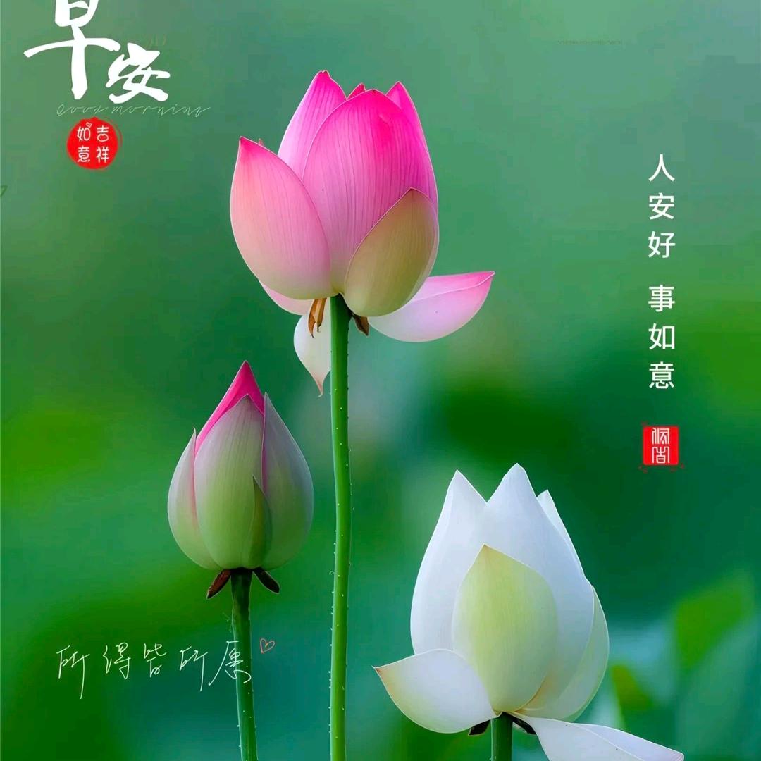 岁月静好