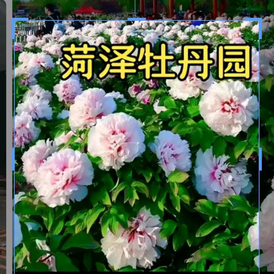 事事如意
