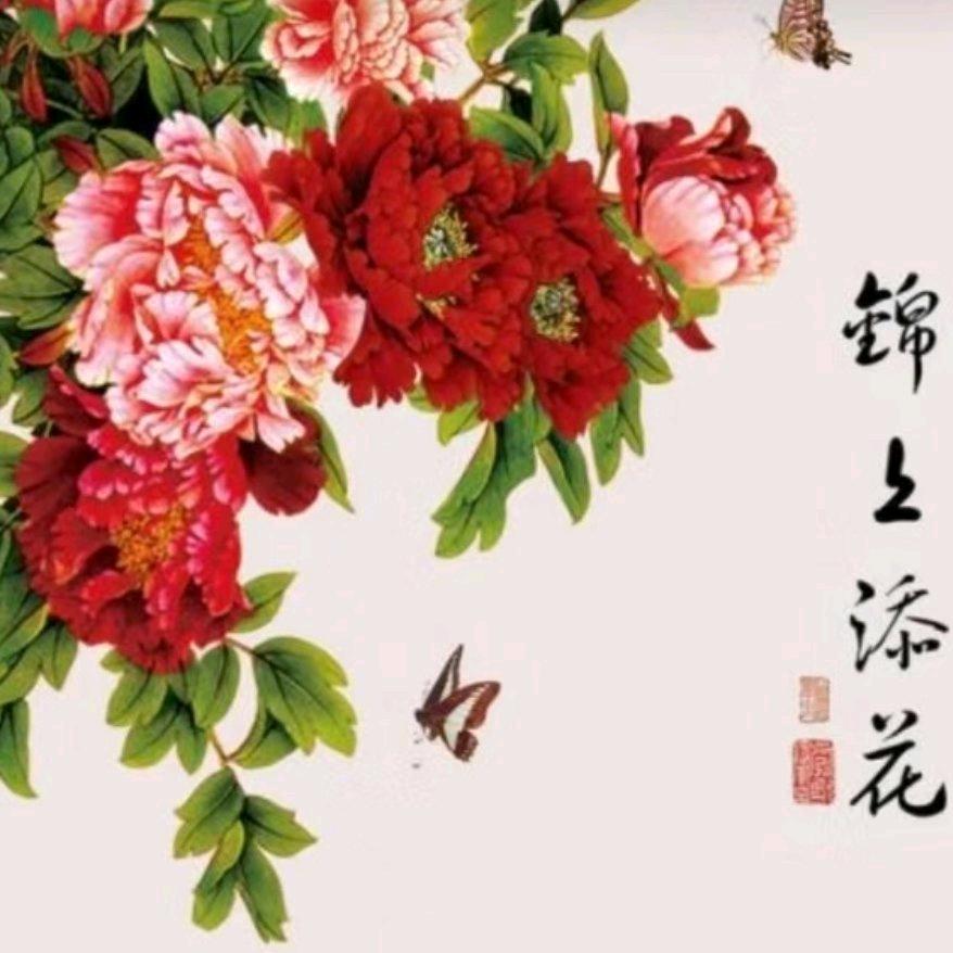 @锦上添花头像