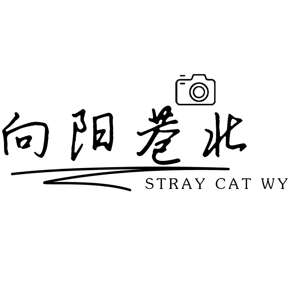 向阳巷北