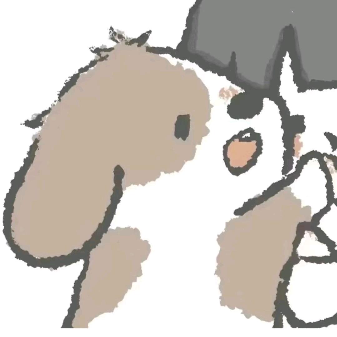 晗晗