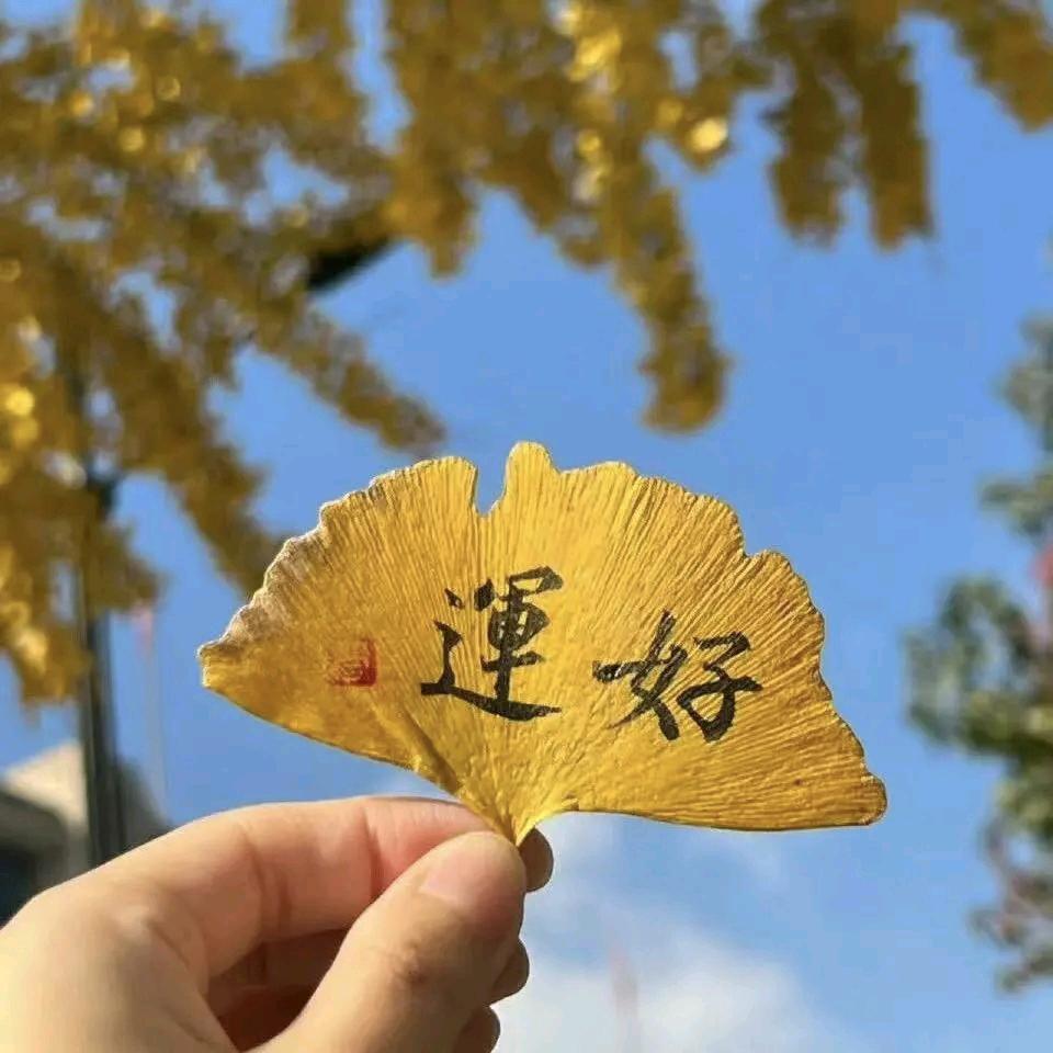 我家有女