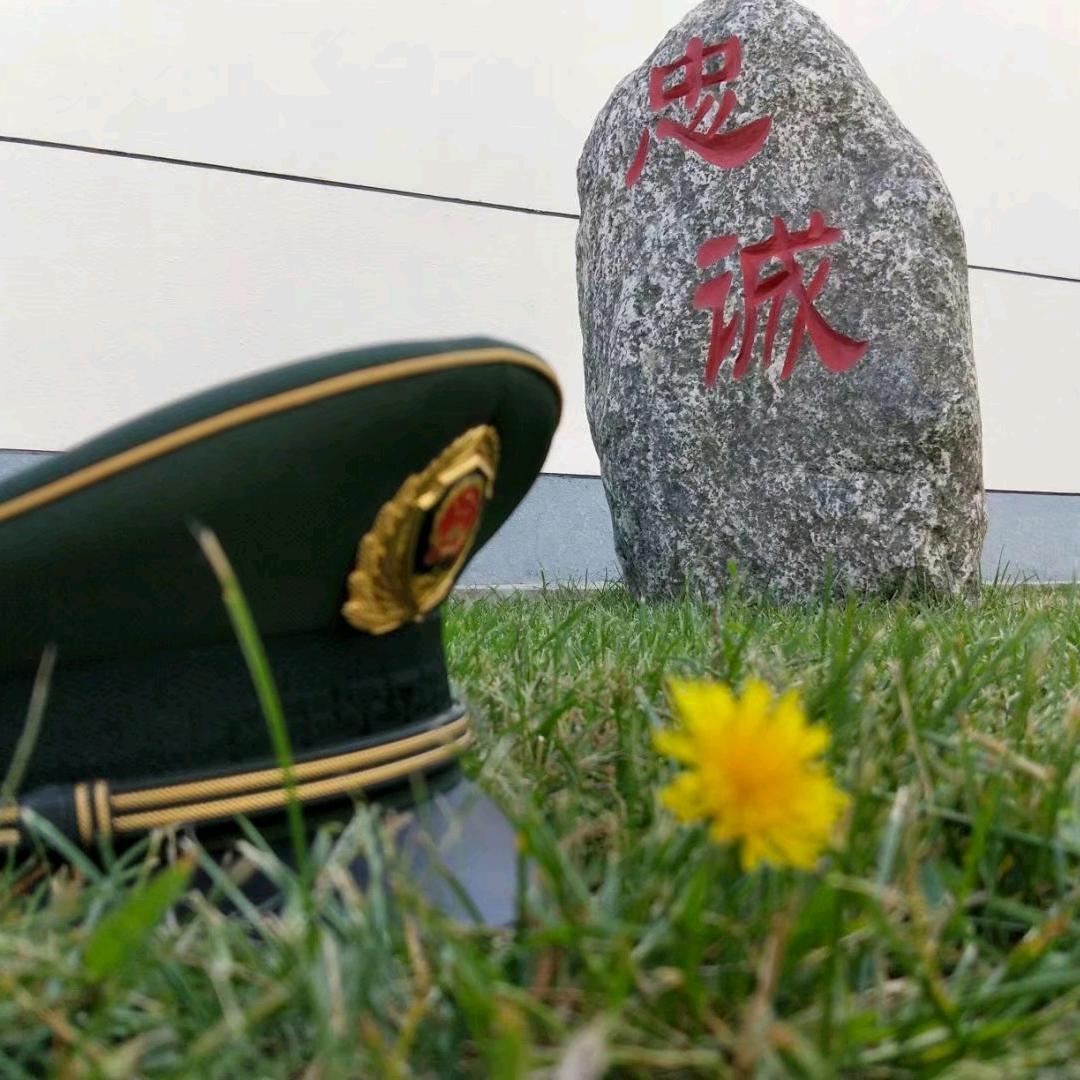 A(:╭╯戀╰╮:)