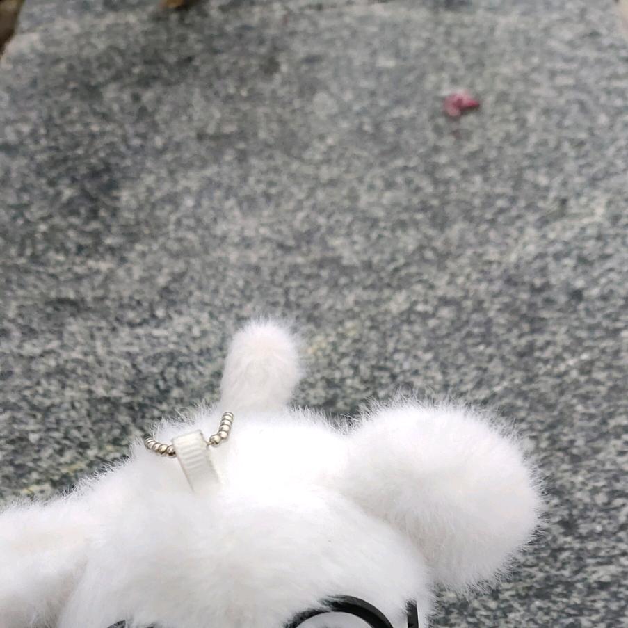 男人的嘴，骗人的鬼