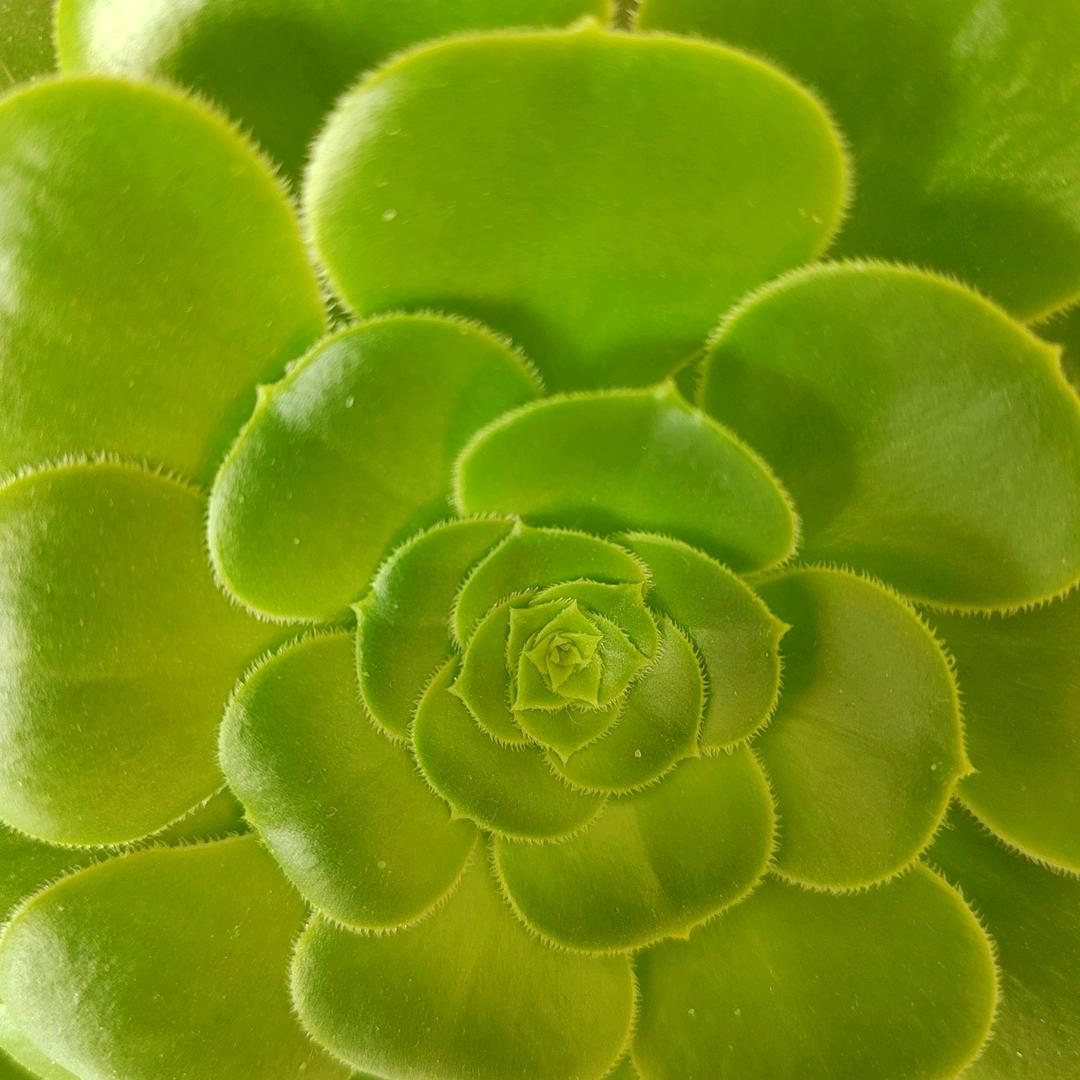 流星雨🌿🌿🌿🌿🌴