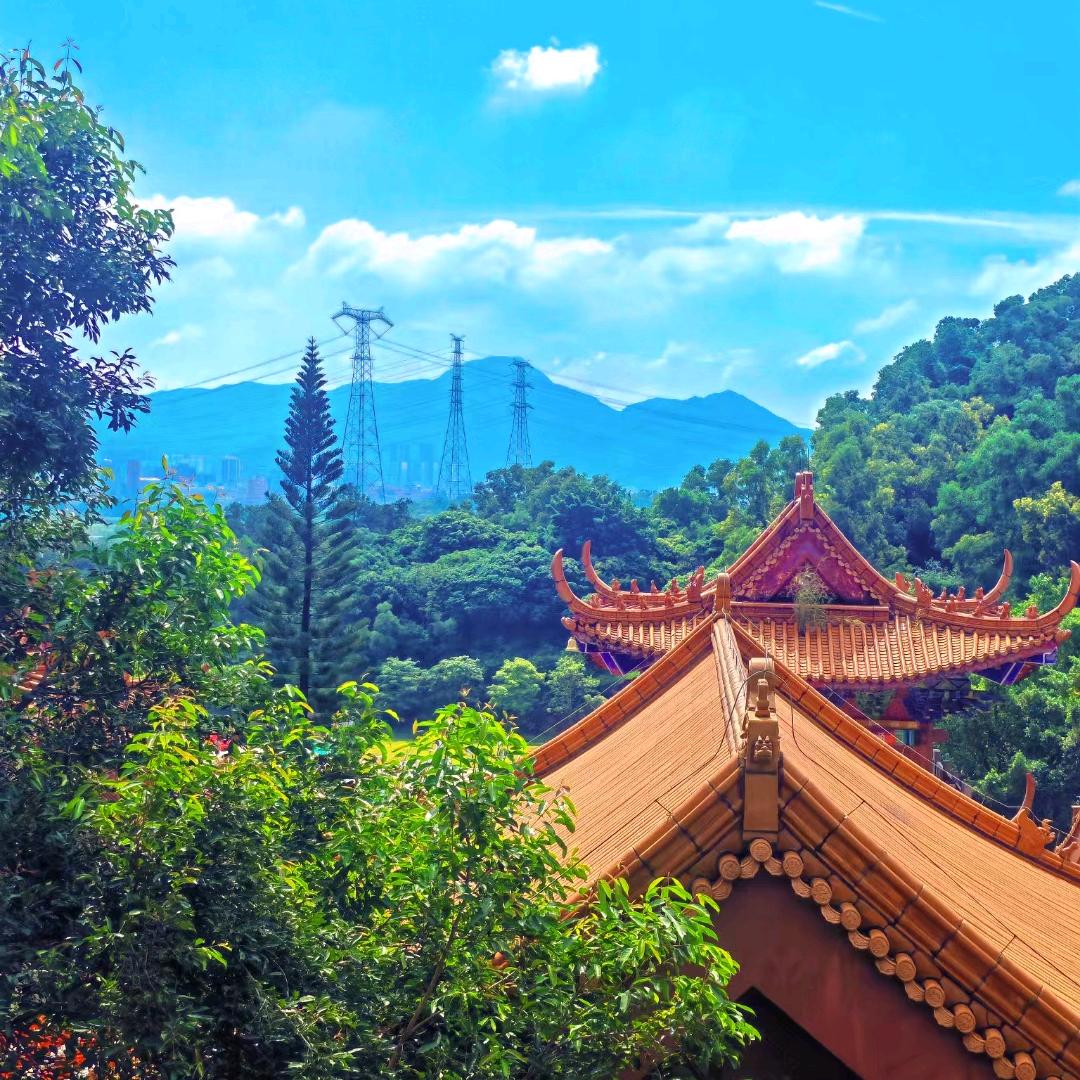 等待日出的守望者