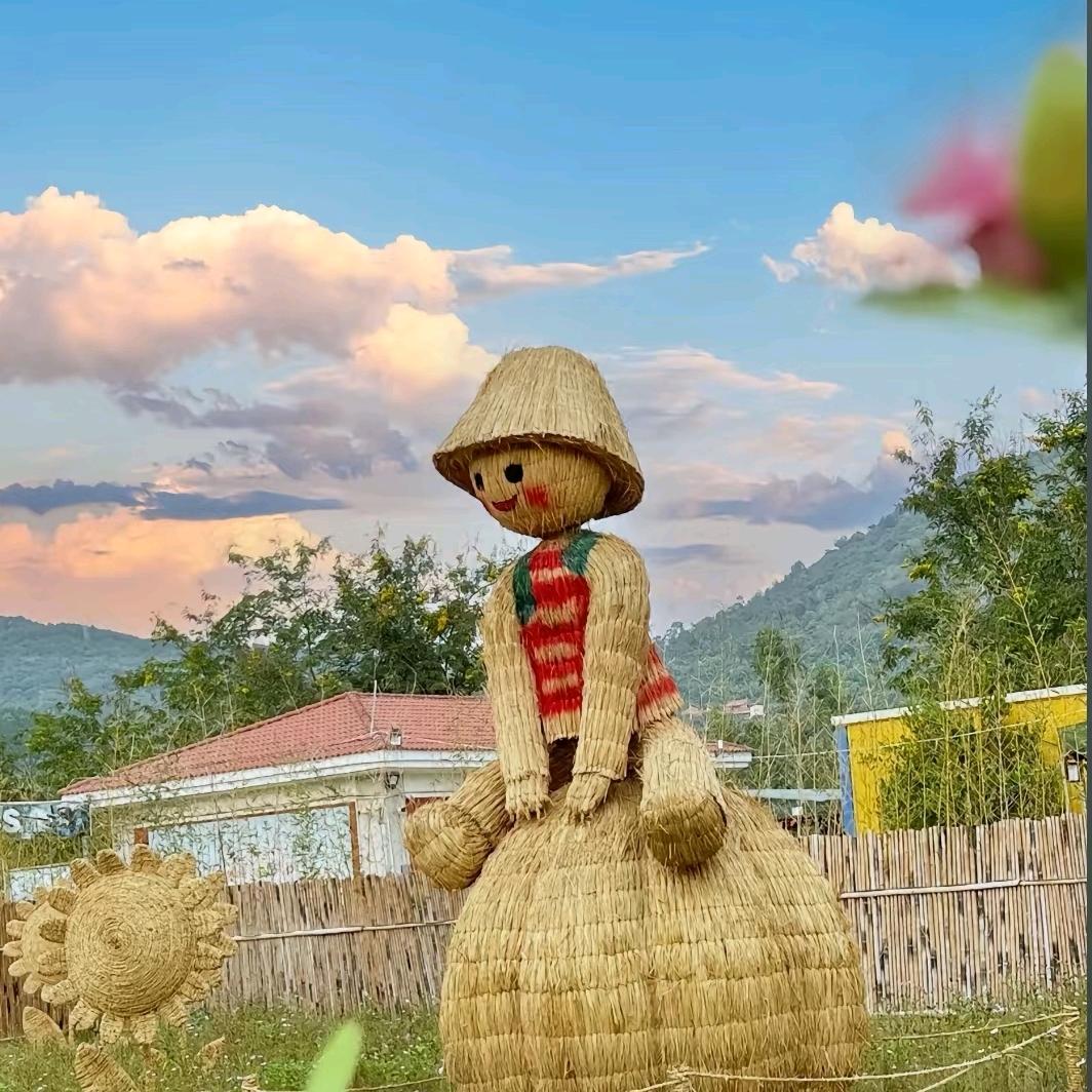 喵喵生活团购