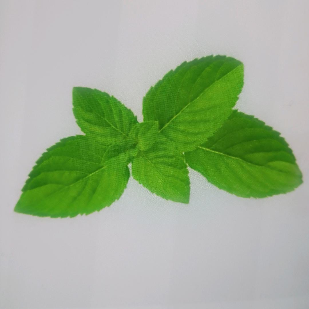 开心快乐😊