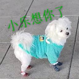 傻丫头🎉