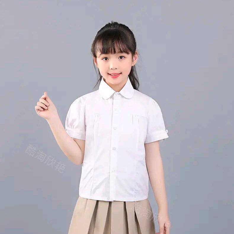 可爱的兔宝宝