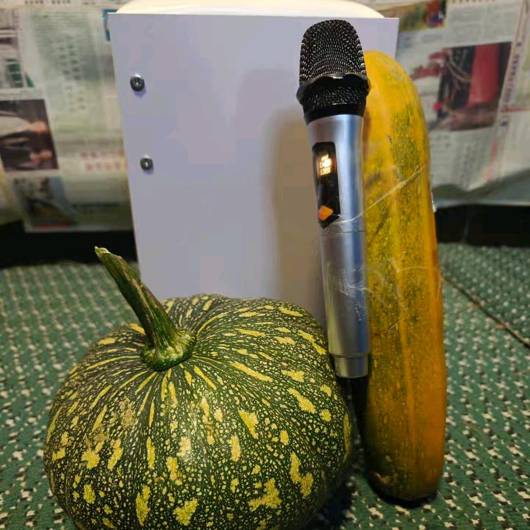 爱唱歌的农村二狗