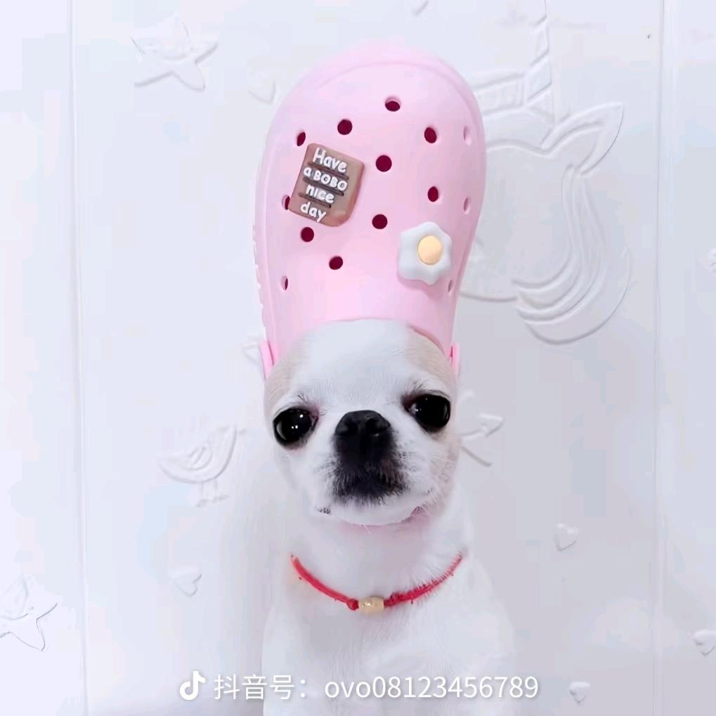 去你的