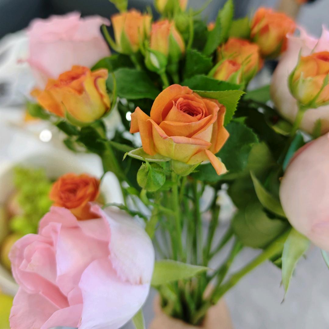 可可托海没有海