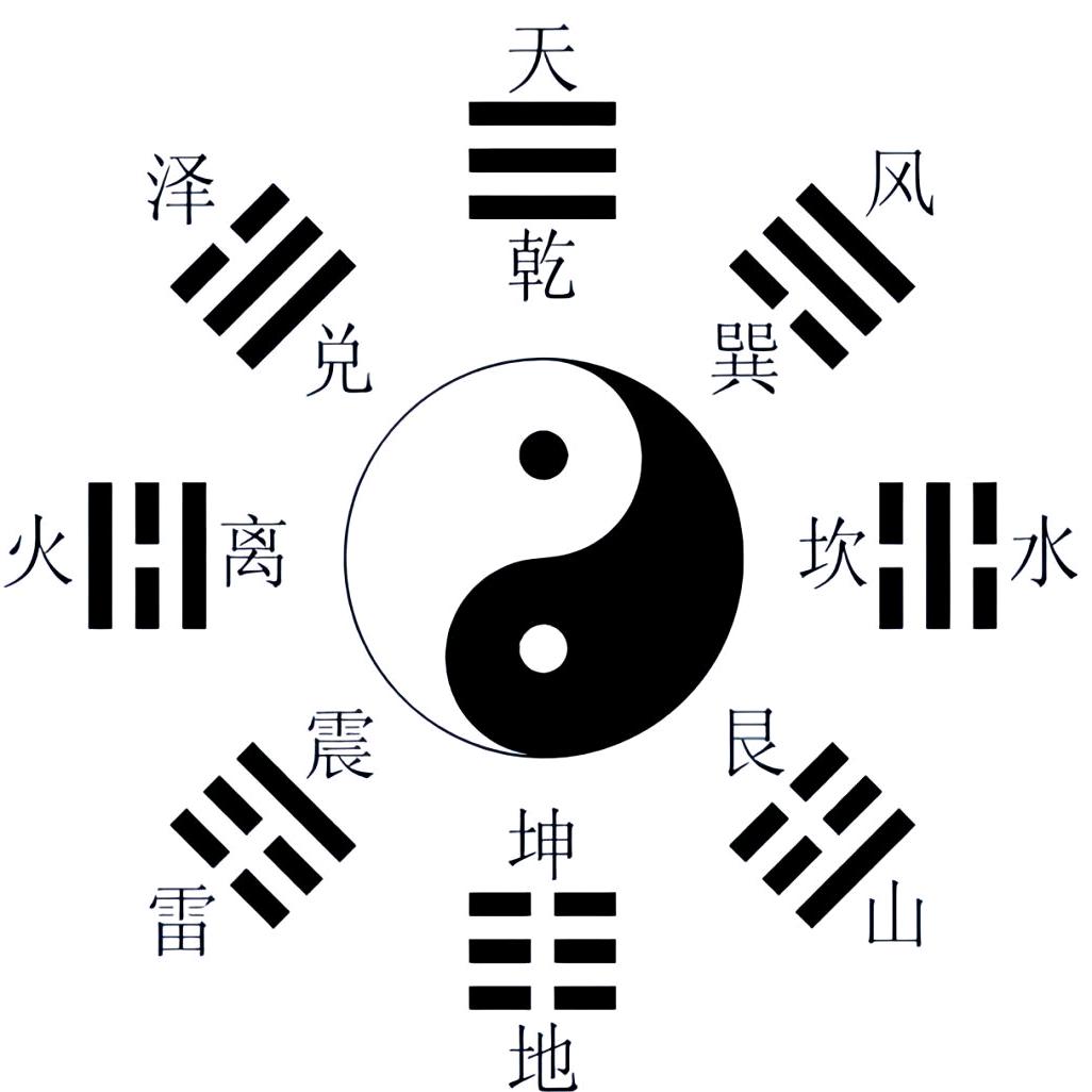 人生预测