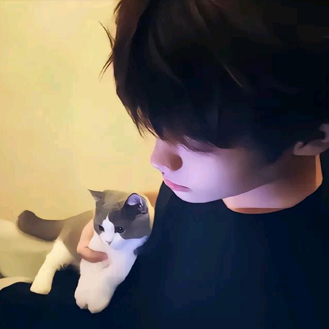 十七