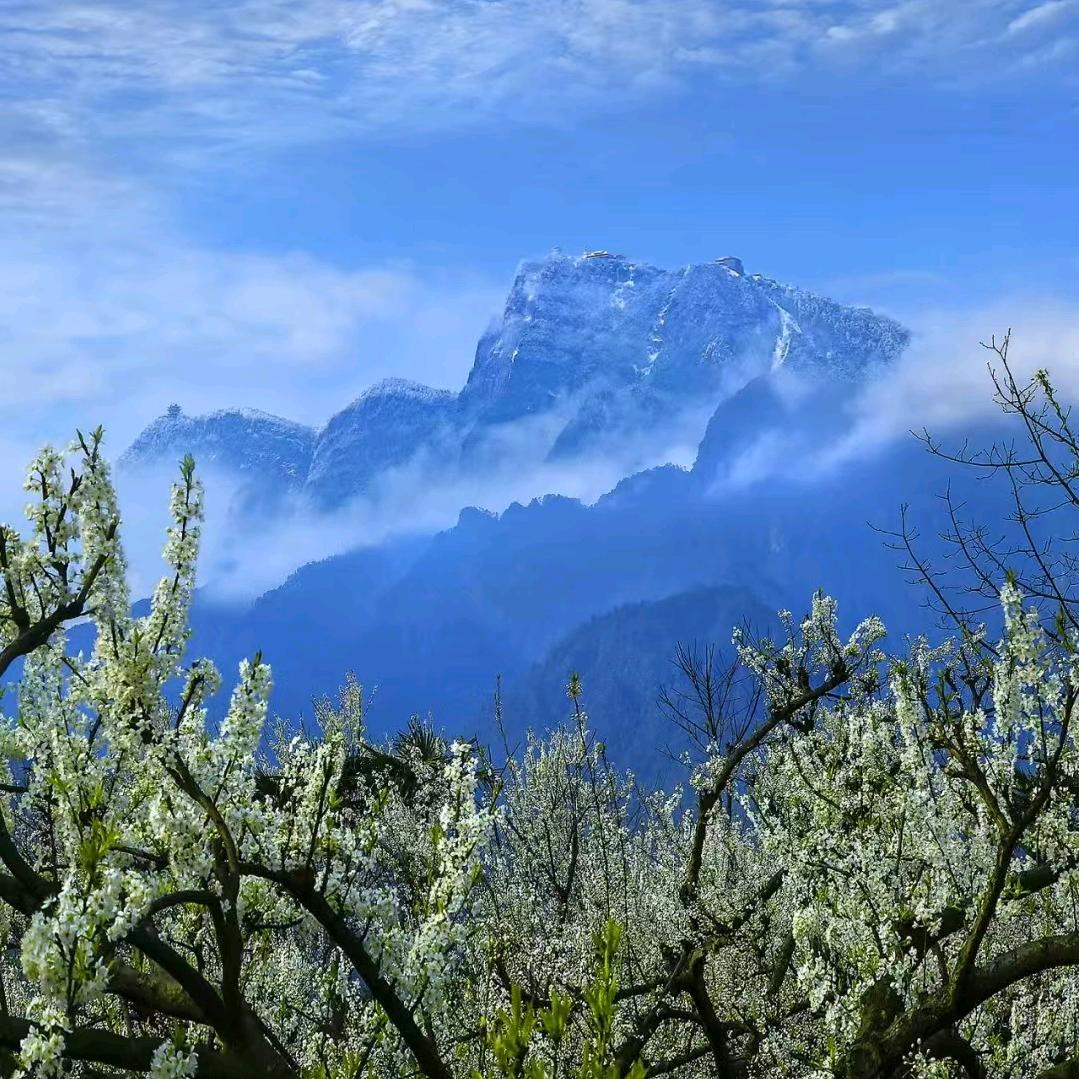 青山不改，绿水长流